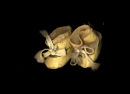 Yellow Shoes